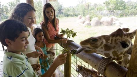 Interactive zoo - SeaQuest is the ultimate hands-on aquarium and zoo adventure. Touch, feed, and interact with over 1,200 exotic animals from all around the planet. 